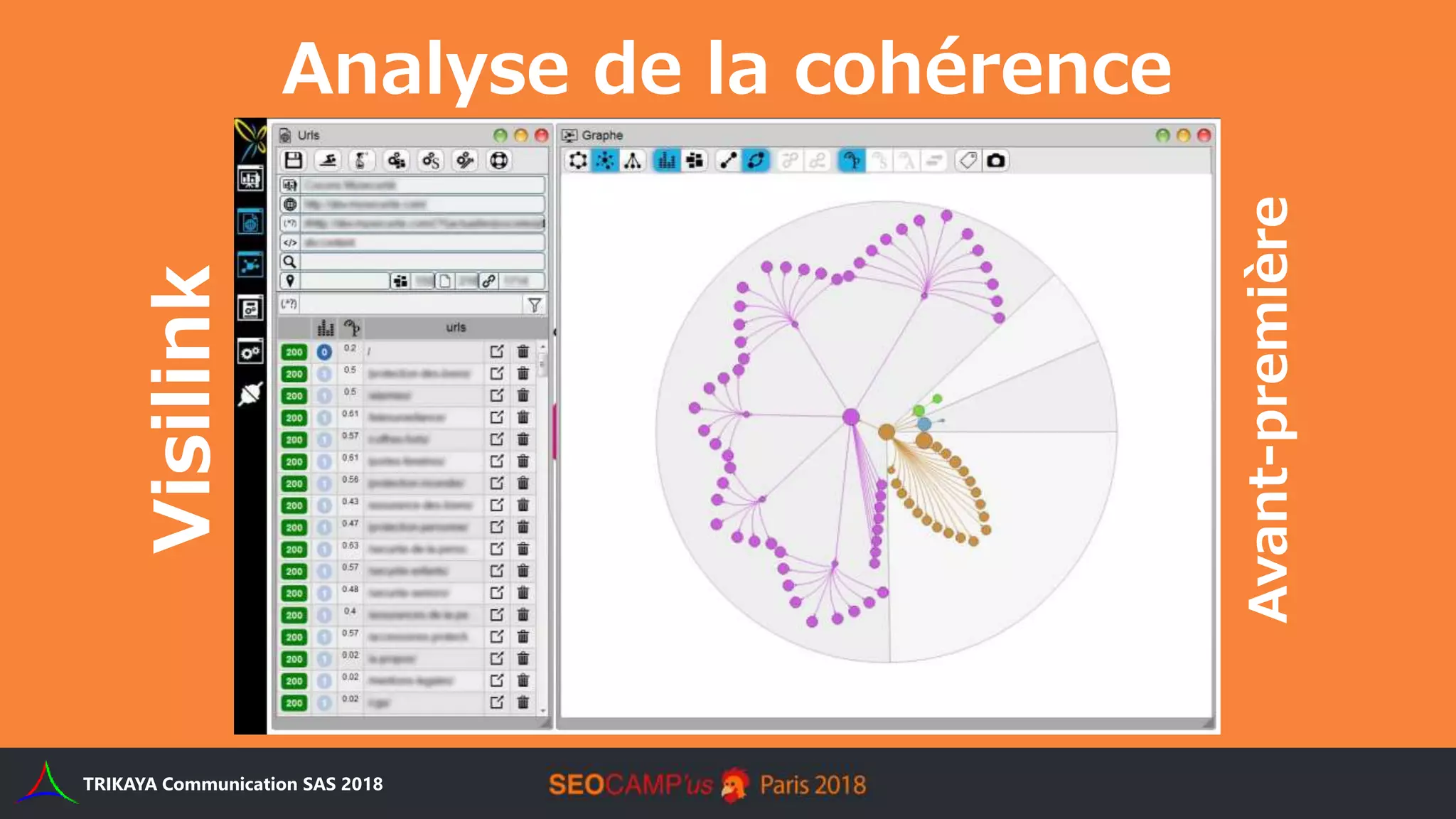 Analyse de la cohérence
sémantiqueVisilink
Avant-première
TRIKAYA Communication SAS 2018
 