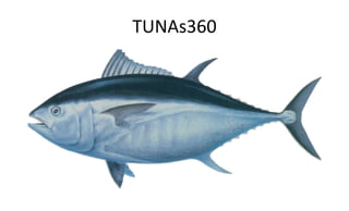 TUNAs360
 