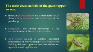 The main characteristic of the grasshopper
swarm.
 The main characteristic of the swarm in the larval
phase is slow movement and small steps of the
grasshoppers.
 Long-range and abrupt movement is the
essential feature of the swarm in adulthood.
 Food source seeking is another important
characteristic of the swarming of grasshoppers by
dividing the search process into two tendencies:
exploration and exploitation.
 