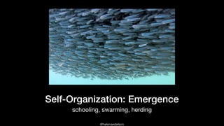@helenaedelson
Self-Organization: Emergence
schooling, swarming, herding
 