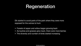 @helenaedelson
Regeneration
Elk started to avoid parts of the park where they were more
exposed for the wolves to hunt.

• Forests of aspen and willow began growing back

• As bushes and grasses grew back, there were more berries

• The diversity and number of birds started increasing
 