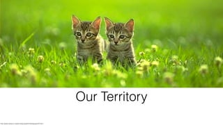Our Territory
http://www.wallcoo.net/animal/pussy/html/wallpaper50.html
 