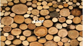 Logs
 