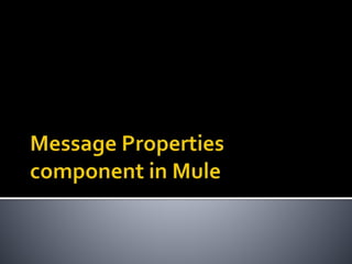 Message properties component in mule