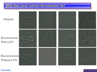 What does Local Contrast Normalization Do?
    What does Local Contrast Normalization Do?



  Original




Reconstuction
With LCN



Reconstruction
Without LCN


Yann LeCun
 