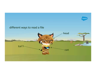 different ways to read a file
cat
head
tail
 