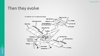 < w e b / F><web/F>
Then they evolve
 