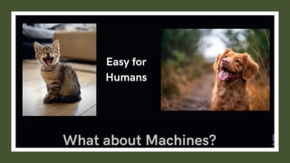 Introduction to Deep Learning: Concepts, Architectures, and Applications