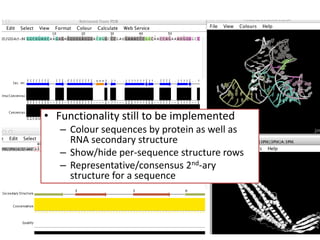 • Functionality still to be implemented
– Colour sequences by protein as well as
RNA secondary structure
– Show/hide per-sequence structure rows
– Representative/consensus 2nd-ary
structure for a sequence
 