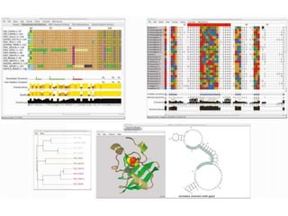 Protein and RNA alignment and analysis with Jalview 2.8.2 and JABA 2.1