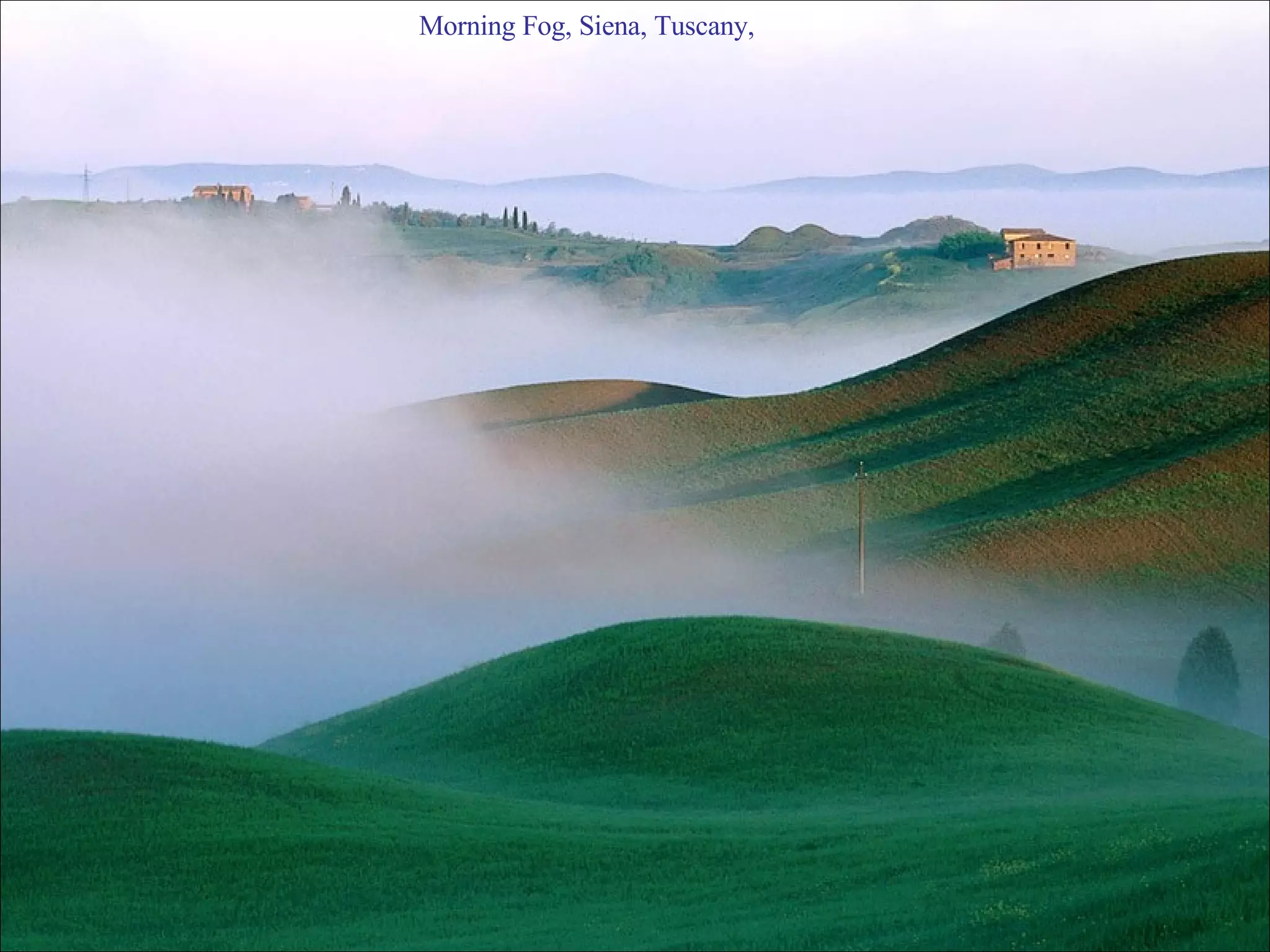 Morning Fog, Siena, Tuscany,