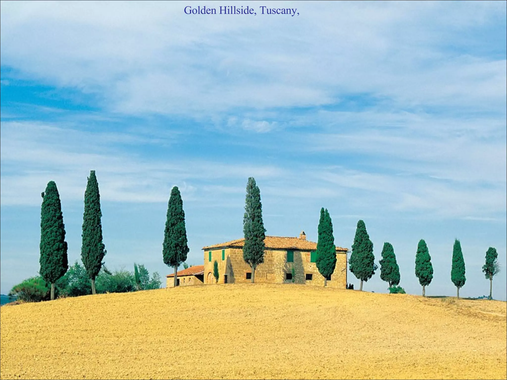 Golden Hillside, Tuscany,