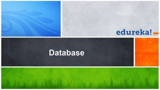 Database
 