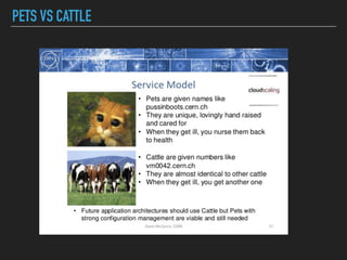 PETS VS CATTLE
 