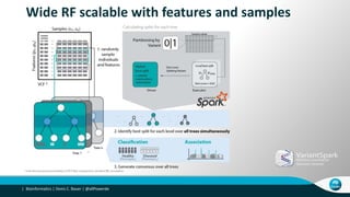 Bioinformatics | Denis C. Bauer | @allPowerde|
Wide RF scalable with features and samples
 