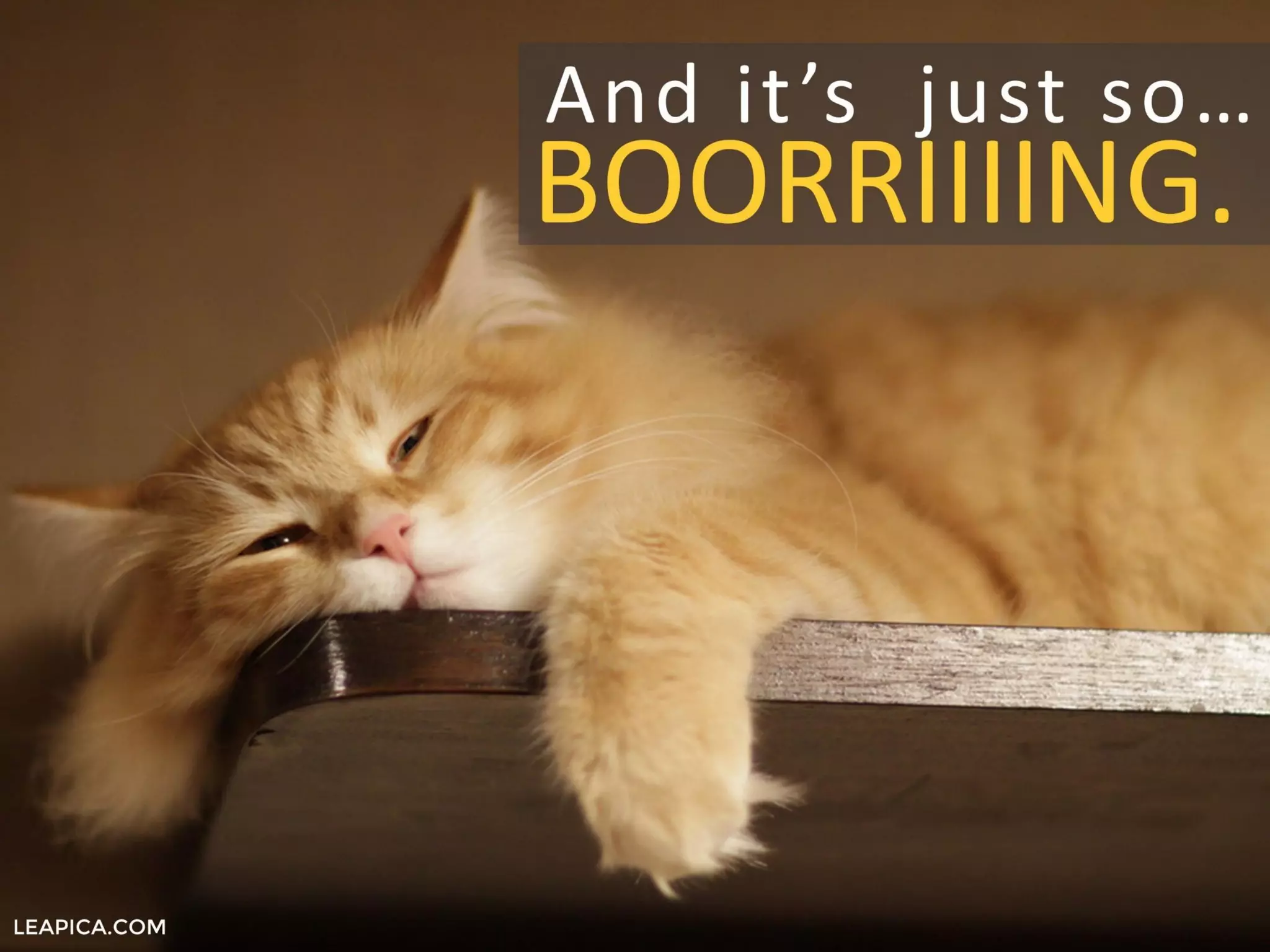 LEAPICA.COM
And it’s just so…
BOORRIIIING.
 