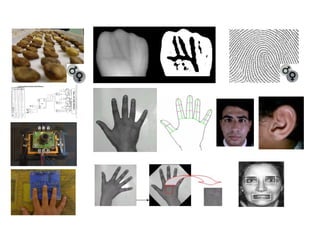 Lecture 1 computer vision introduction