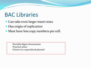 BAC Libraries
 Can take even larger insert sizes
 Has origin of replication
 Must have less copy numbers per cell.



     •Partially digest chromosome
     •Fraction select
     •Clone it to a specialized plasmid
 