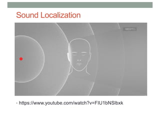 Sound Localization
• https://www.youtube.com/watch?v=FIU1bNSlbxk
 