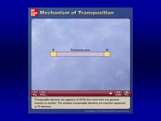 Please note that due to differing
operating systems, some animations
will not appear until the presentation is
viewed in Presentation Mode (Slide
Show view). You may see blank slides
in the “Normal” or “Slide Sorter” views.
All animations will appear after viewing
in Presentation Mode and playing each
animation. Most animations will require
the latest version of the Flash
Player, which is available at
http://get.adobe.com/flashplayer.

 