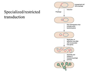 Specialized/restricted
transduction

 