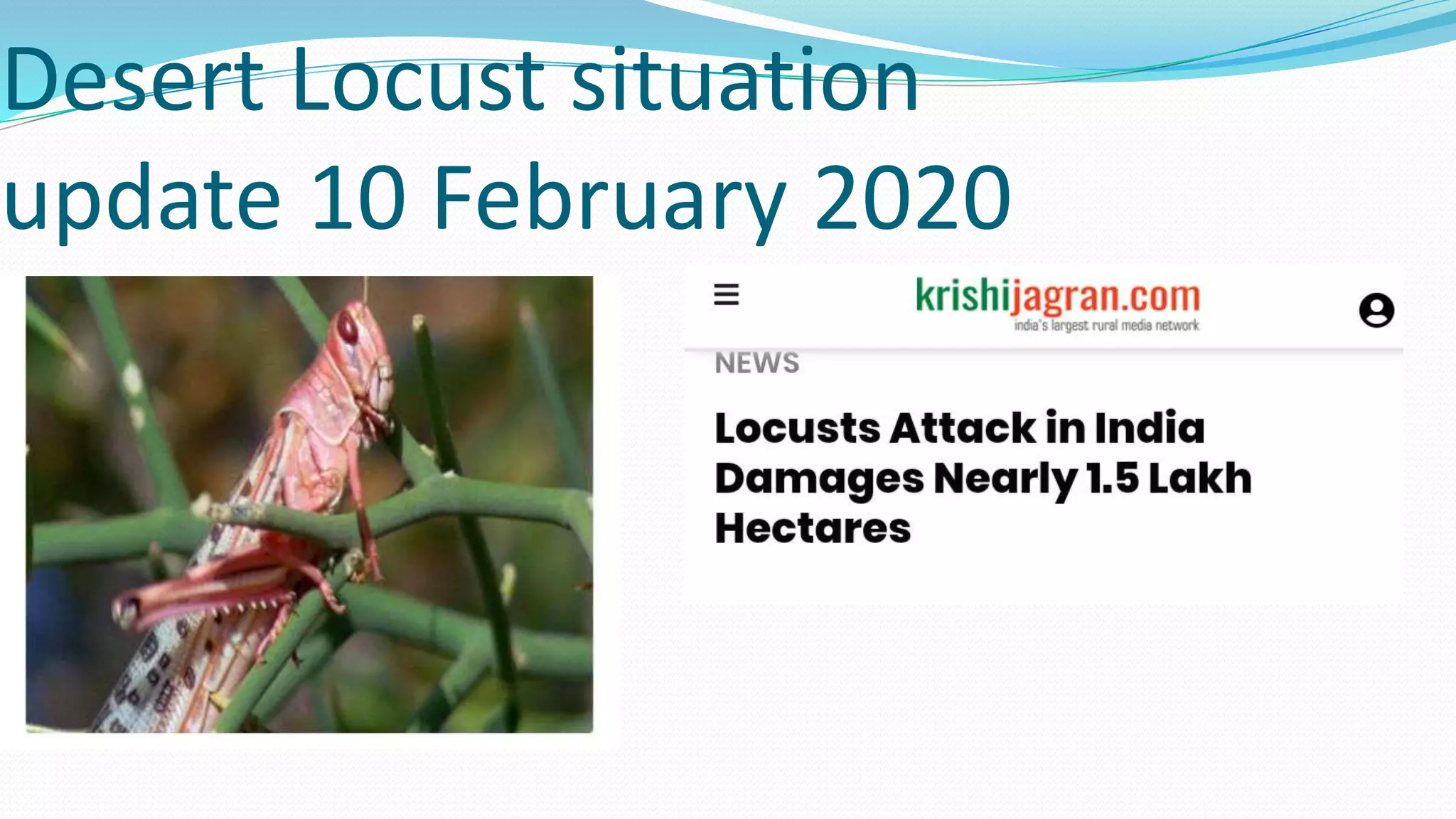 Desert Locust situation
update 10 February 2020
 