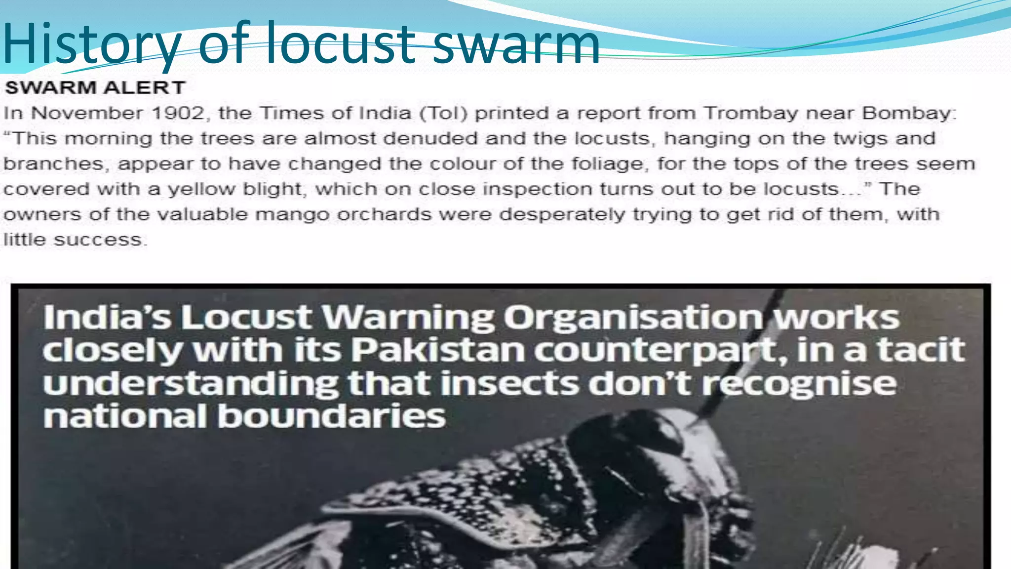 History of locust swarm
 