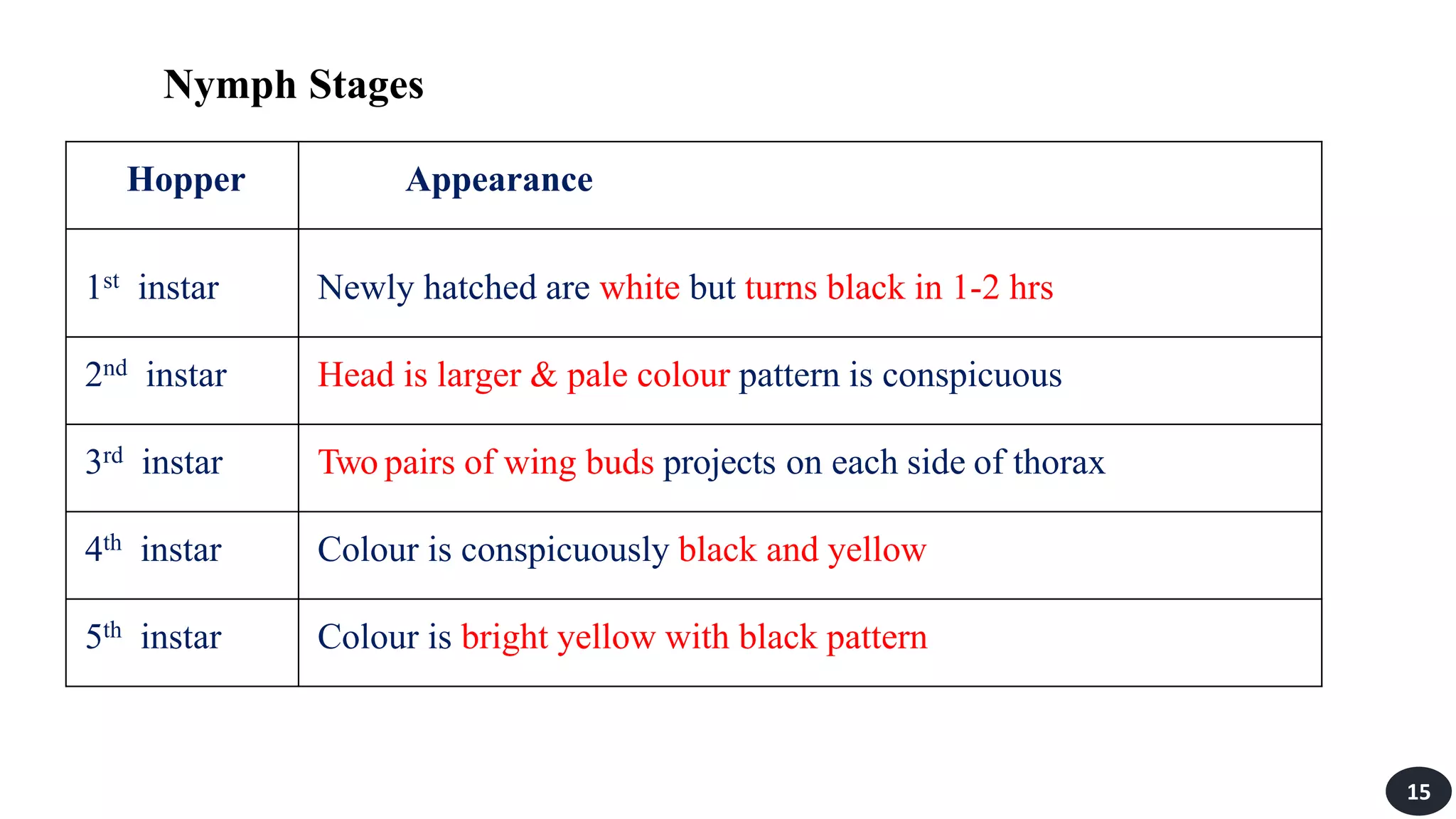 Nymph Stages
Hopper Appearance
1st instar Newly hatched are white but turns black in 1-2 hrs
2nd instar Head is larger & pale colour pattern is conspicuous
3rd instar Two pairs of wing buds projects on each side of thorax
4th instar Colour is conspicuously black and yellow
5th instar Colour is bright yellow with black pattern
15
 