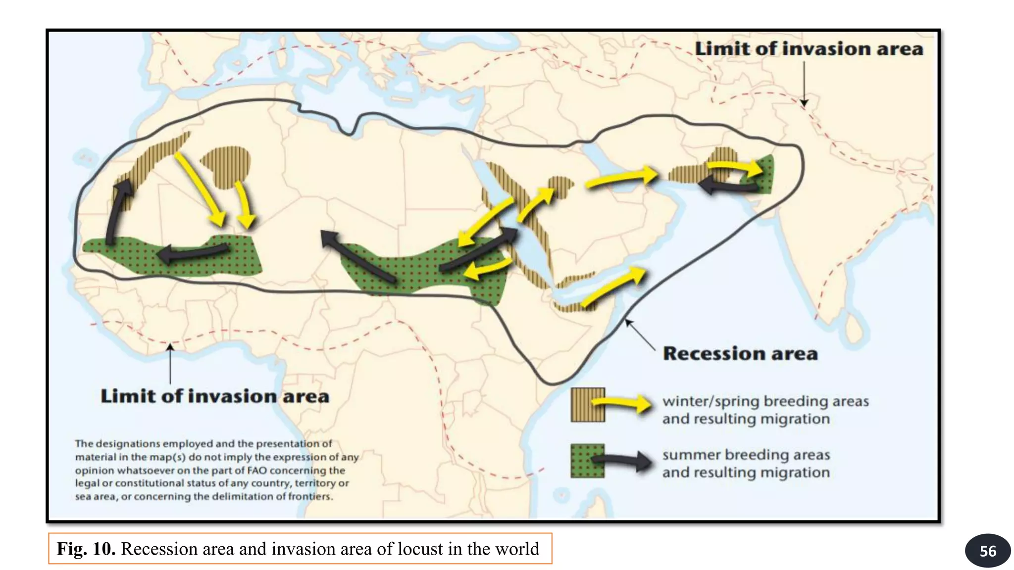 56
Fig. 10. Recession area and invasion area of locust in the world
 