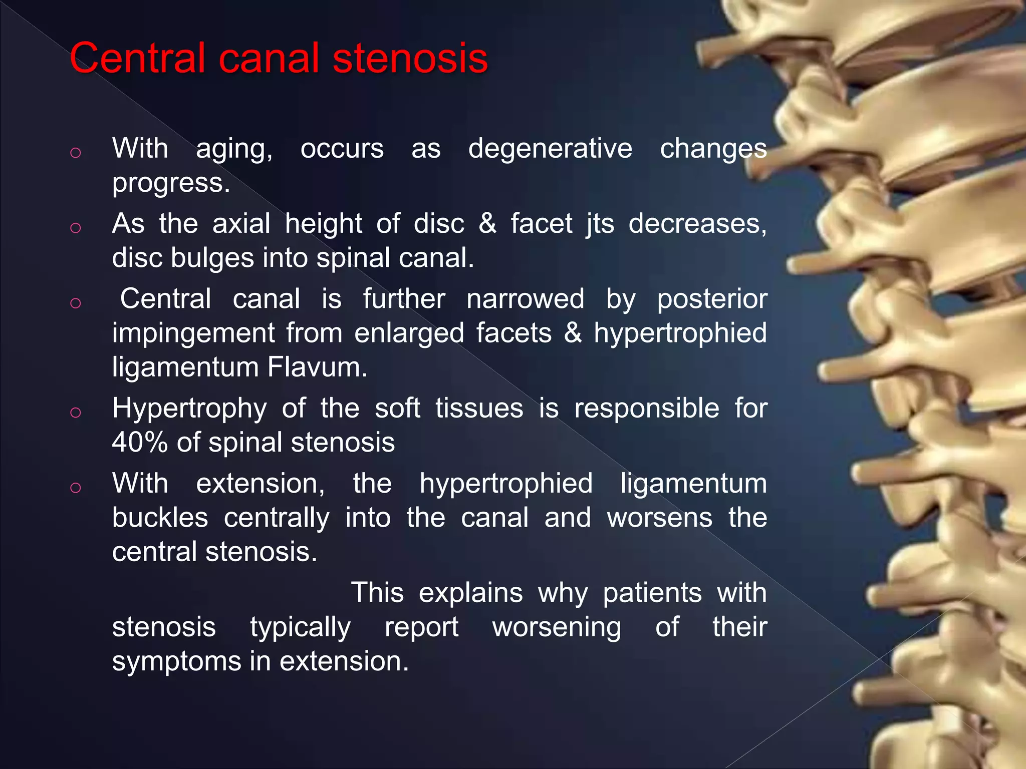 Central canal stenosis
o With aging, occurs as degenerative changes
progress.
o As the axial height of disc & facet jts decreases,
disc bulges into spinal canal.
o Central canal is further narrowed by posterior
impingement from enlarged facets & hypertrophied
ligamentum Flavum.
o Hypertrophy of the soft tissues is responsible for
40% of spinal stenosis
o With extension, the hypertrophied ligamentum
buckles centrally into the canal and worsens the
central stenosis.
This explains why patients with
stenosis typically report worsening of their
symptoms in extension.
 
