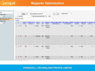 OpenXcell - Magento Optimization Webinar 2013
