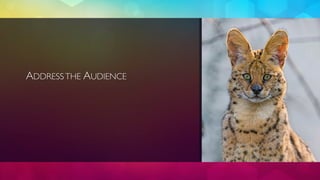 ADDRESS THE AUDIENCE 
 