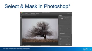 12
Select & Mask in Photoshop*
*Other names and brands may be claimed as the property of others.
 