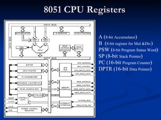 8051 CPU Registers A ( 8-bit Accumulator ) B  ( 8-bit register for Mul &Div ) PSW ( 8-bit Program Status Word ) SP (8-bit  Stack Pointer ) PC (16-bit  Program Counter ) DPTR (16-bit  Data Pointer ) 