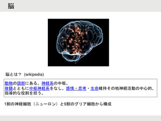 脳
動物の頭部にある、神経系の中枢。
脊髄とともに中枢神経系をなし、感情・思考・生命維持その他神経活動の中心的、
指導的な役割を担う。
脳とは？
1割の神経細胞（ニューロン）と9割のグリア細胞から構成
(wikipedia)
 