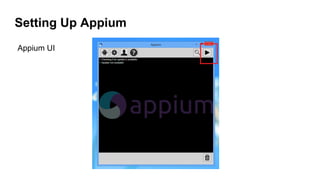 Setting Up Appium
Appium UI
 