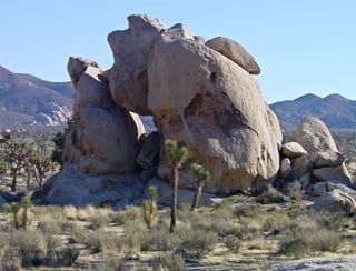 A




    114
 
