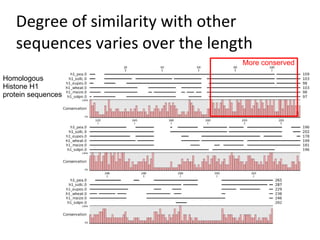 Degree of similarity with other
   sequences varies over the length
                                 More conserved

Homologous
Histone H1
protein sequences
 