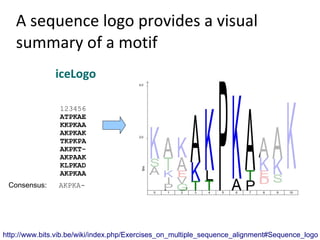 A sequence logo provides a visual
   summary of a motif
               iceLogo

                123456
                ATPKAE
                KKPKAA
                AKPKAK
                TKPKPA
                AKPKT-
                AKPAAK
                KLPKAD
                AKPKAA
 Consensus:     AKPKA-




http://www.bits.vib.be/wiki/index.php/Exercises_on_multiple_sequence_alignment#Sequence_logo
 
