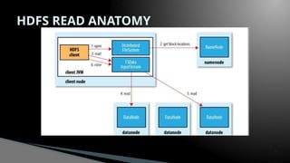 HDFS READ ANATOMY
 