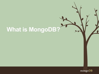 What is MongoDB?
 
