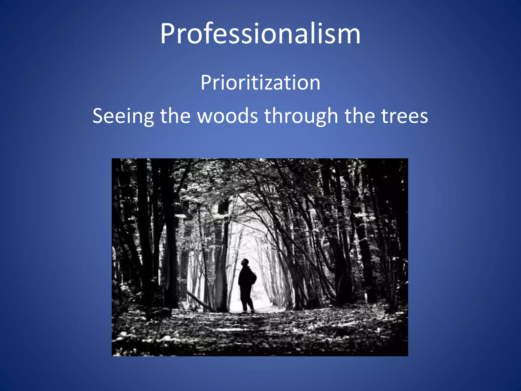 Professionalism
Prioritization
Seeing the woods through the trees
 