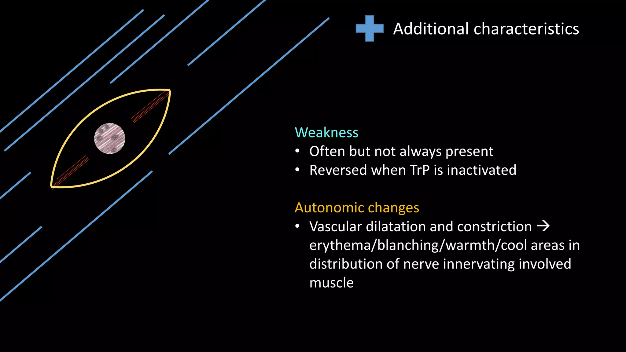 Additional characteristics
Weakness
• Often but not always present
• Reversed when TrP is inactivated
Autonomic changes
• Vascular dilatation and constriction 
erythema/blanching/warmth/cool areas in
distribution of nerve innervating involved
muscle
 