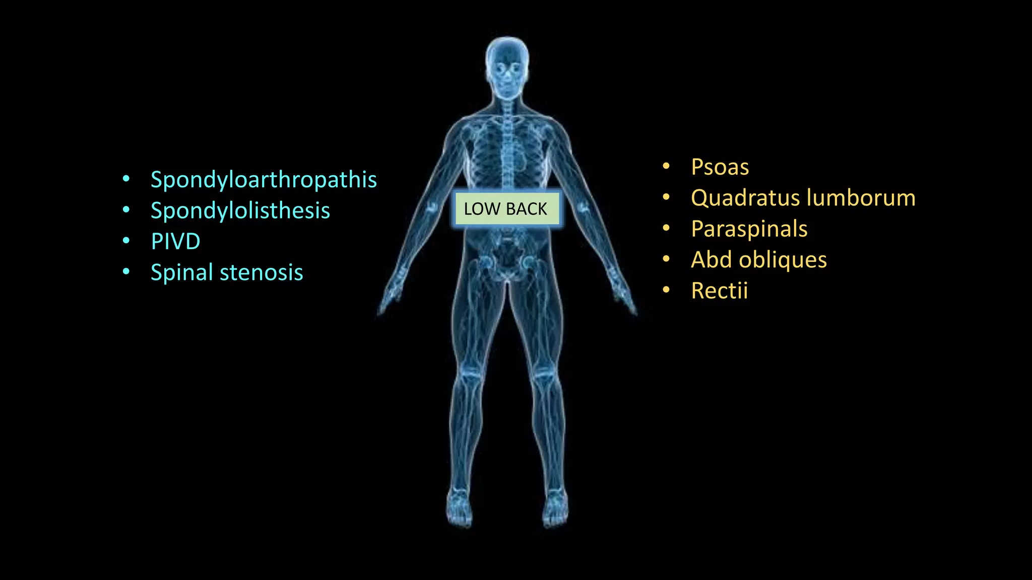 LOW BACK
• Spondyloarthropathis
• Spondylolisthesis
• PIVD
• Spinal stenosis
• Psoas
• Quadratus lumborum
• Paraspinals
• Abd obliques
• Rectii
 