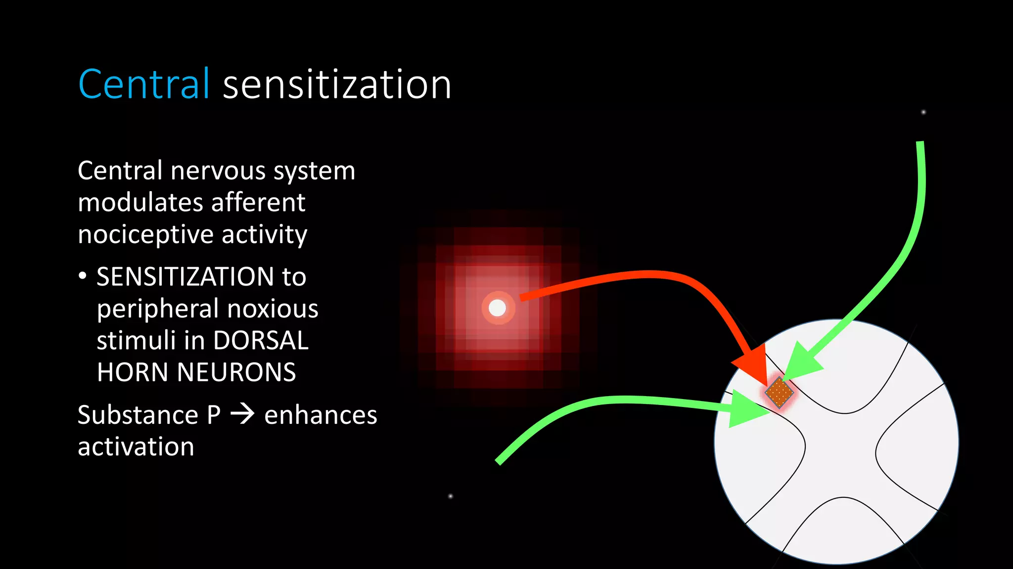 Central sensitization
Central nervous system
modulates afferent
nociceptive activity
• SENSITIZATION to
peripheral noxious
stimuli in DORSAL
HORN NEURONS
Substance P  enhances
activation
 
