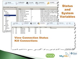 Mysql workbench 5