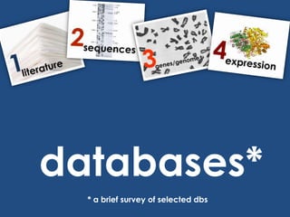 databases** a brief survey of selected dbs