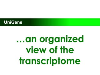 UniGene…an organized view of the transcriptome