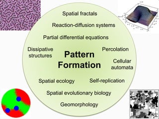 Pattern
Formation
Cellular
automata
Spatial fractals
Reaction-diffusion systems
Spatial ecology
Dissipative
structures
Partial differential equations
Percolation
Self-replication
Spatial evolutionary biology
Geomorphology
 