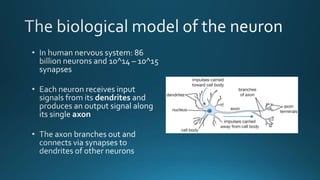 Introduction to Neural Networks and Deep Learning from Scratch